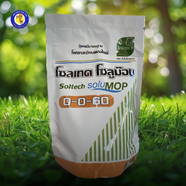 โซลเทค 0-0-60