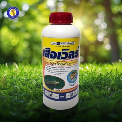 เสือเวิลร์