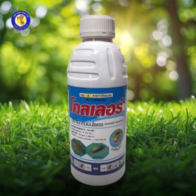 โคลเลอร์