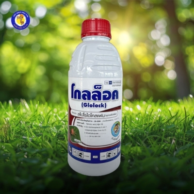 โกลล็อค