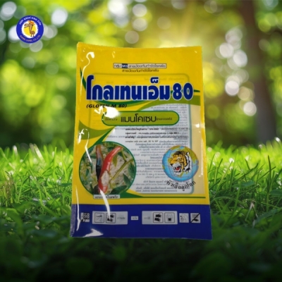 โกลเทนเอ็ม80