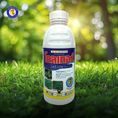 โกลเทอร์