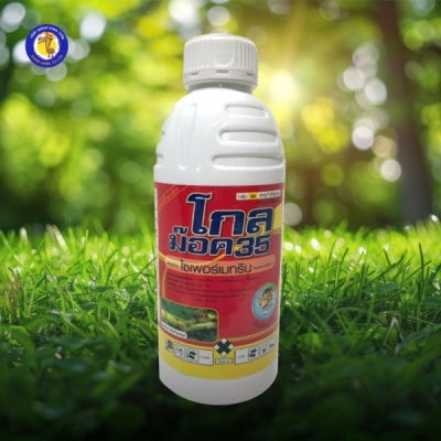 โกลม๊อค35