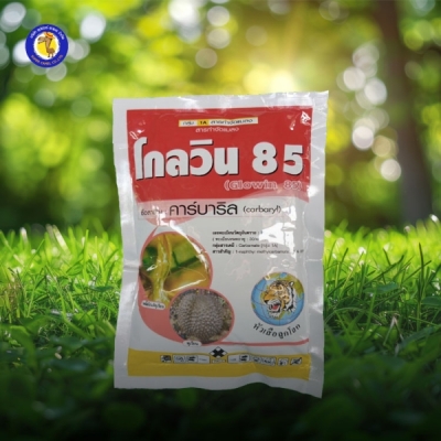 โกลวิน85