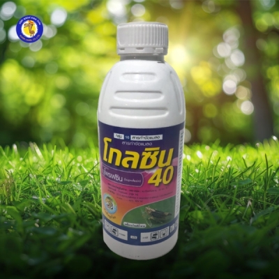 โกลซิน40